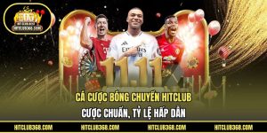 Cá cược bóng chuyền HITCLUB